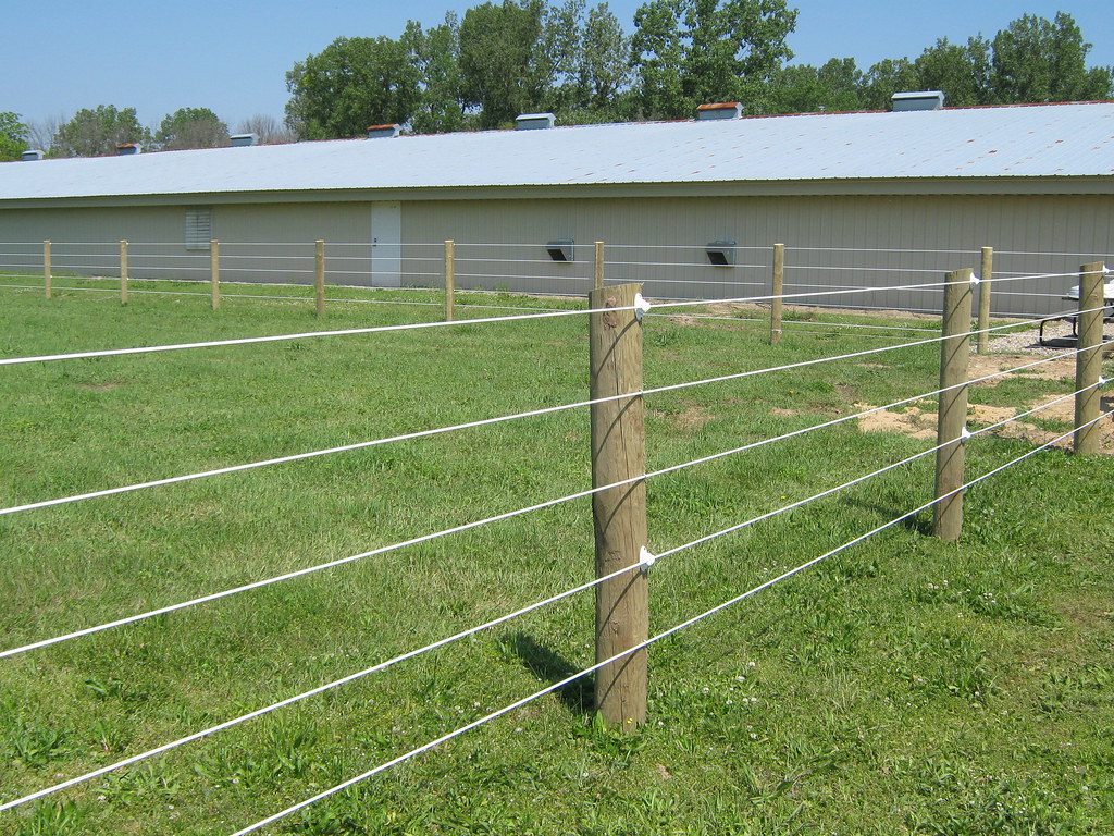 Raceline - coated wire horse fence